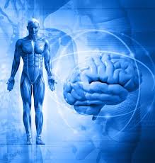 Cuerpo y mente en armonia